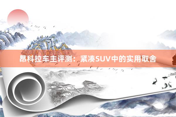 昂科拉车主评测：紧凑SUV中的实用取舍